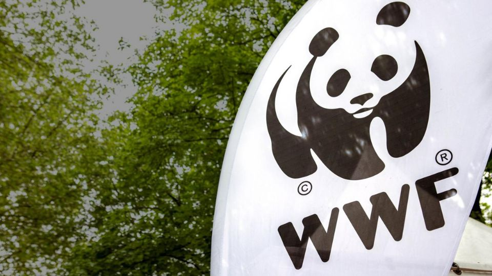 WWF 法國 ZEvent 2022，協會介紹